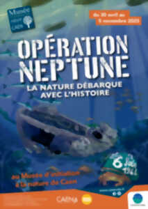 photo Opération Neptune : la nature débarque avec l'histoire !