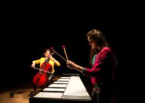 photo Festiv'Arts - concert Duo Vibracello