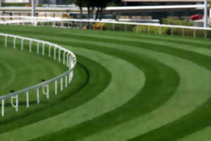 photo Courses à l'hippodrome à Niort