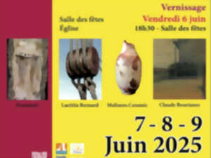 photo MAI DES Z’ARTS