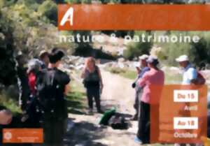 photo NATURE ET PATRIMOINE MONTALBA LE CHATEAU