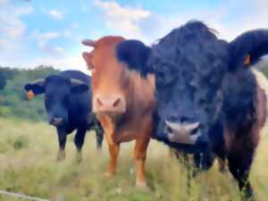 photo VISITE COMMENTÉE DE LA FERME DU DEVÈS