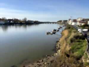 photo Pause Patrimoine : la ville en paysage
