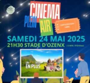 photo Soirée cinéma en plein-air