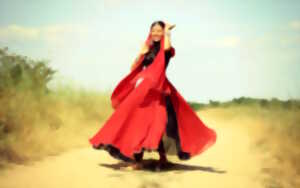 photo Stage de danse orientale