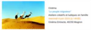 photo Ciné ateliers