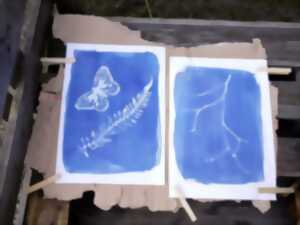 photo Atelier : atelier cyanotype
