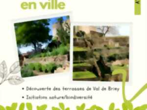 photo Animation biodiversité en ville