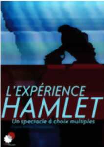 photo L'Expérience Hamlet - Théâtre