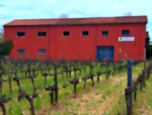 photo VISITE DU VIGNOBLE TERRASSOUS