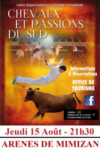 photo Spectacle Chevaux et Passions du Sud