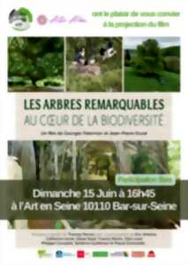 photo Projection : Les arbres remarquables au coeur de la biodiversité