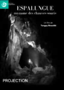 photo La grotte d'Espalungue et ses habitant(e)s