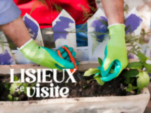 photo Atelier - Création d'un jardin potager suspendu