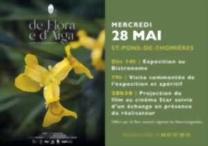 photo PROJECTION ET EXPOSITION 