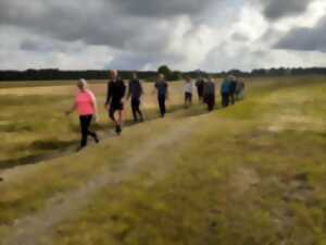 photo Marche nordique à Biscarrosse
