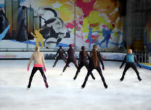 photo Stage international Adultes de Patinage