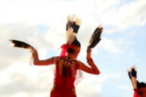 Brooke medecine eagle