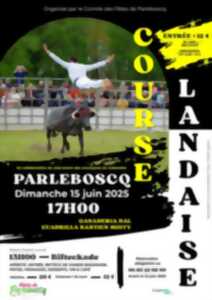 photo Course landaise