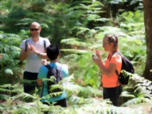 photo Bain de forêt