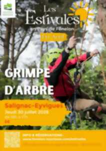 photo ÉTÉ ACTIF : Grimpe d'arbre à Salignac