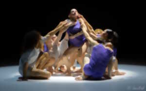 photo Spectacle de danse hona