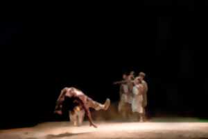 photo Le Temps d'Aimer la Danse 2025 - Cie Sous la peau / Claude Brumachon & Benjamin Lamarche - Hors Normes (Création)