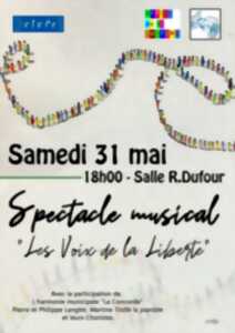 photo Spectacle Musical Desvres