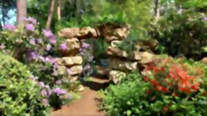 Rendez-vous aux jardins : Jardin Grelinette et pinceaux