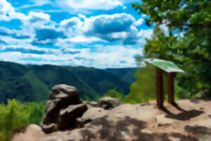 photo Balade nature