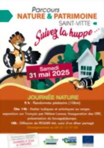 photo Suivez le Huppe à Saint Vitte