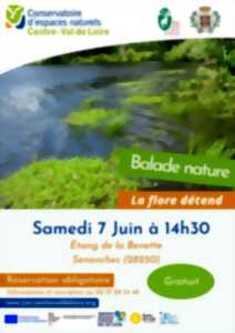 photo Balade nature- La flore détend