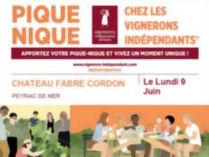 photo PIQUE-NIQUE CHEZ LES VIGNERONS INDÉPENDANTS - CHÂTEAU FABRE CORDON