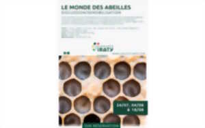 photo Sensibilisation et balade botanique autour des abeilles
