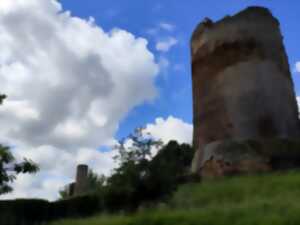 photo Randonnée équestre Château de Brosse et Val d'Anglin