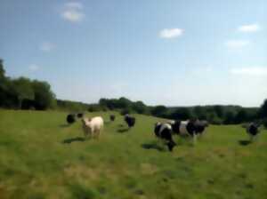 photo La Ferme collective de la Tournerie fête ses 10 ans : Visites guidées de la ferme