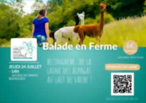 photo Balade en ferme à Bezinghem - Lundi 24 juillet