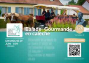 Balade en calèche - Dimanche 29 juin
