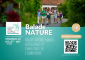 photo Balade nature plantes médicinales et comestibles du Bras-de-Brosne