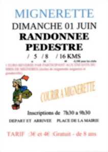 photo Randonnée pédestre