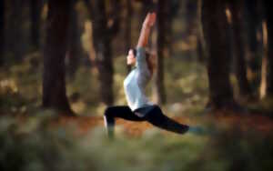 Yoga et brunch en forêt d'Iraty