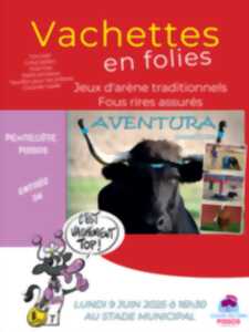 photo VACHETTES EN FOLIES