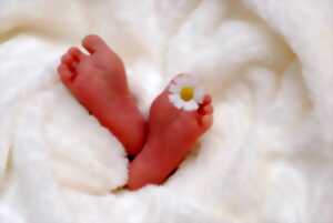 photo Yoga bébé