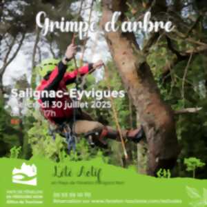photo ÉTÉ ACTIF : Grimpe d'arbre à Salignac