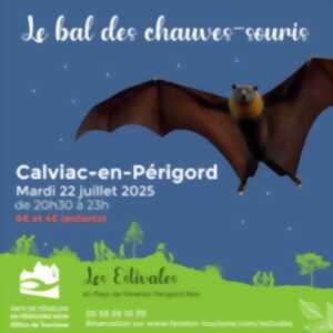photo Les Estivales : Bal des chauves-souris à Calviac-en-Périgord