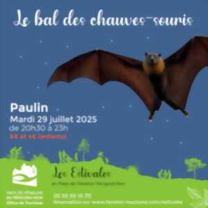 photo Les Estivales : Bal des chauves-souris à Paulin