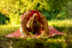 Yoga bien-être