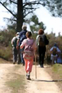 Randonnée dans les communes à Thuré