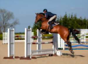 photo Nouans Jump : Jumping/Concours de Saut d'obstacles
