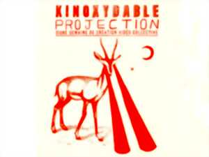 PROJECTION - Kinoxydable